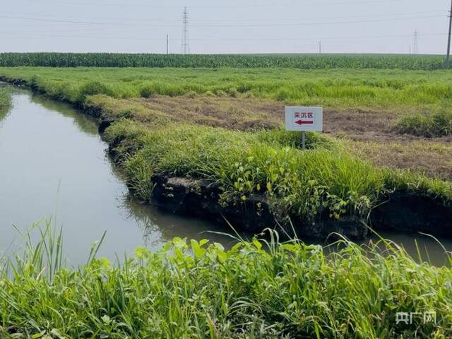 辽宁铁岭大片黑土地遭采煤沉降变洼地，当地农民：农田变4米深水塘