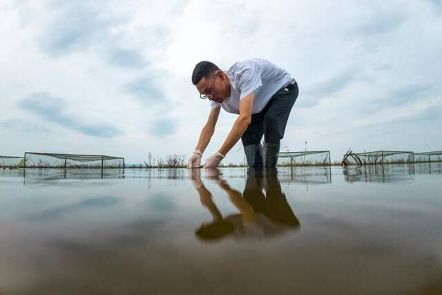 新时代中国调研行·长江篇｜长江行：湖泊之美