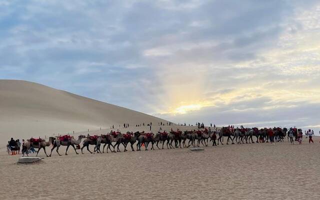 7月，鸣沙山月牙泉景区里行走的骆驼群。受访者供图