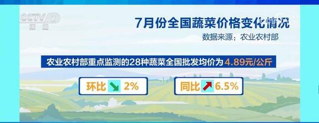 7月份全国蔬菜价格季节性下行 “菜篮子”供应有保障