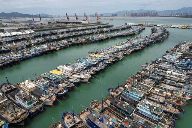 7月27日，渔船停泊在福建厦门高崎闽台中心渔港躲避台风（无人机照片）。