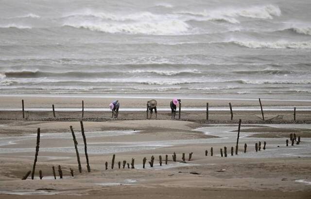 7月27日，福州市长乐区，渔民在海滩上抓紧收网上岸。