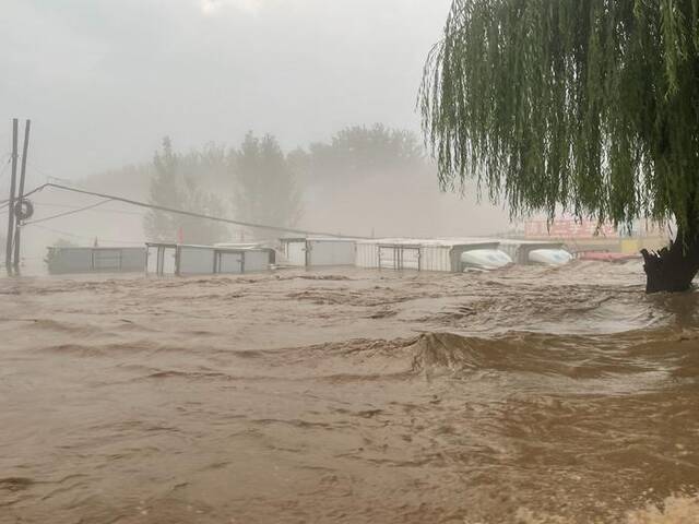 8月1日，河北保定涿州市东仙坡镇下胡良村，降雨已连续四天，水位大约为2米。本文图均来自澎湃新闻记者柳婧文