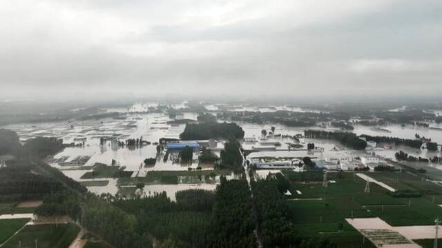 8月1日，河北省涿州市刁窝镇塔照村附近被洪水淹没图/中新图片网