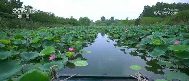 江苏省国土空间规划获批 严格河湖水域空间管控