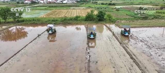 江西水稻“双抢”基本结束 全程机械化大幅提高生产效率