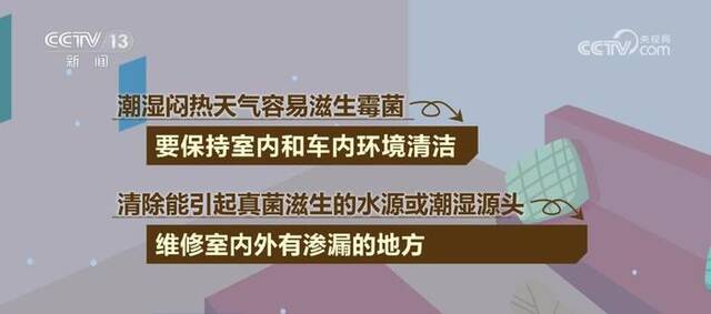 洪水过后别大意！这份防护手册撑起“健康伞”