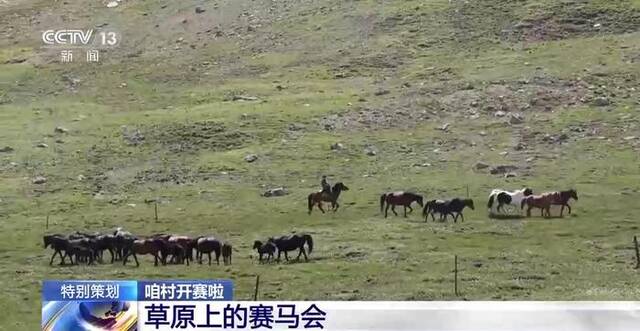 草原上的“速度与激情” 村里不一样的赛马会