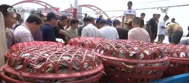 东海开渔后第一网海鲜上市 价格最高降四成