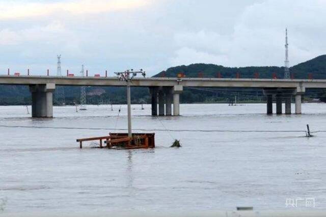 受降雨影响，部分稻田已被淹没（央广网发徐旭摄）