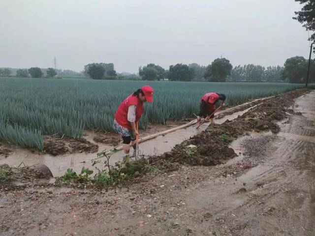 在北京市平谷区马昌营镇南定福村，中国农资·平谷服务中心农服人员协助大葱种植户抓紧排除积水。（杜晓远摄）