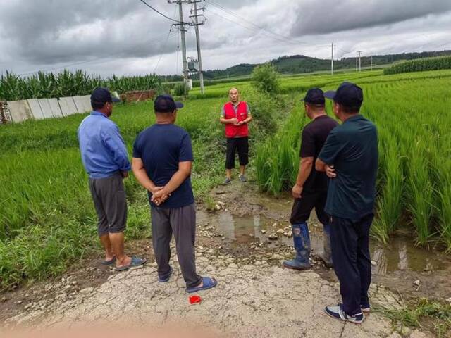 在吉林省舒兰市七里乡八里村，中农立华东北大区技术人员（左三）为农户讲解灾后田间管理注意事项。（李海江摄）