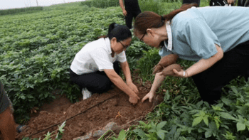 新华全媒+丨现场直击华北、东北推动灾后农业恢复重建