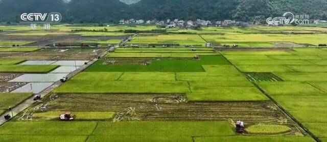 “桂北粮仓”建设现代粮食示范区 实现水稻增产、群众增收