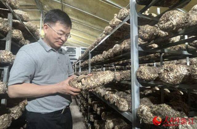 跟着总书记看中国丨浙江科技特派员：把论文写在大地上 把成果留在百姓家