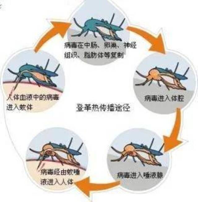 最新消息！我国一地病例破千，疫情形势严峻