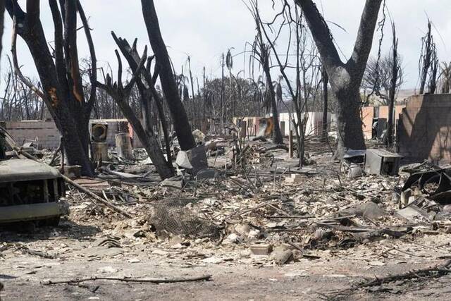 遇难人数升至89人 夏威夷野火成为美国百年来“最致命”野火