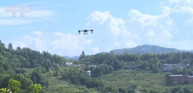 重庆云阳黄桃成熟 从靠人工背到无人机飞 山地农产品运输不再是难题