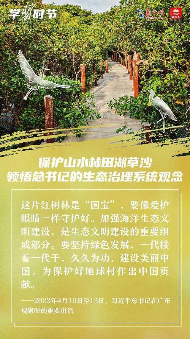 学习时节｜保护山水林田湖草沙 领悟总书记的生态治理系统观念