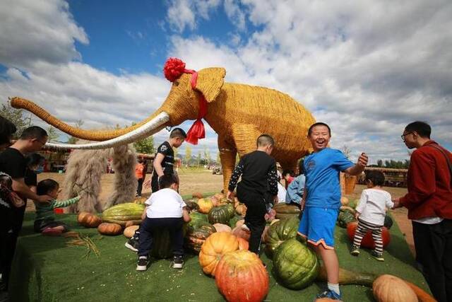 北京市密云区溪翁庄镇金叵罗村举办的“丰收节”，吸引了大量市民游客前来游玩。（北京市密云区供图）