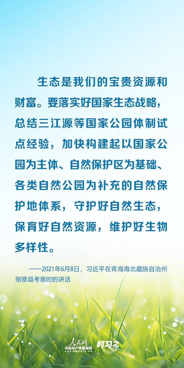 以系统思维谋全局 习近平为湿地保护工作指明方向