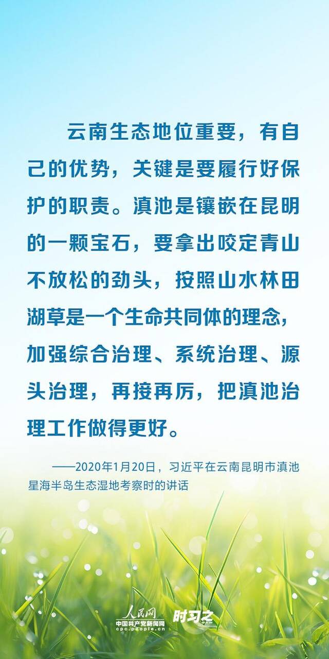 以系统思维谋全局 习近平为湿地保护工作指明方向