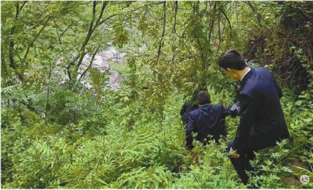 图②:检察官在神农架国家公园老君山对动植物保护情况进行巡查。检察日报通讯员王亚林摄