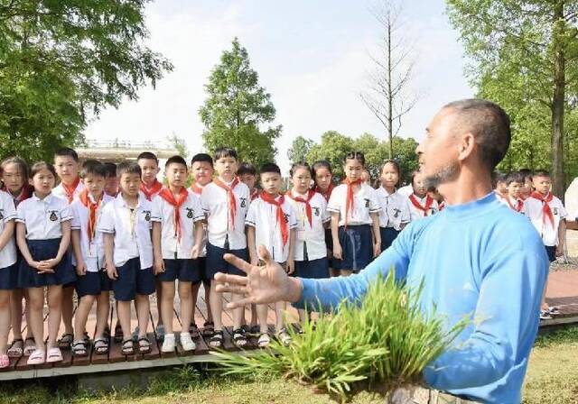 2023年5月12日，澧县城头山国家考古遗址公园内，老农现场教小学生水稻秧苗移栽要领。（柏依朴摄）