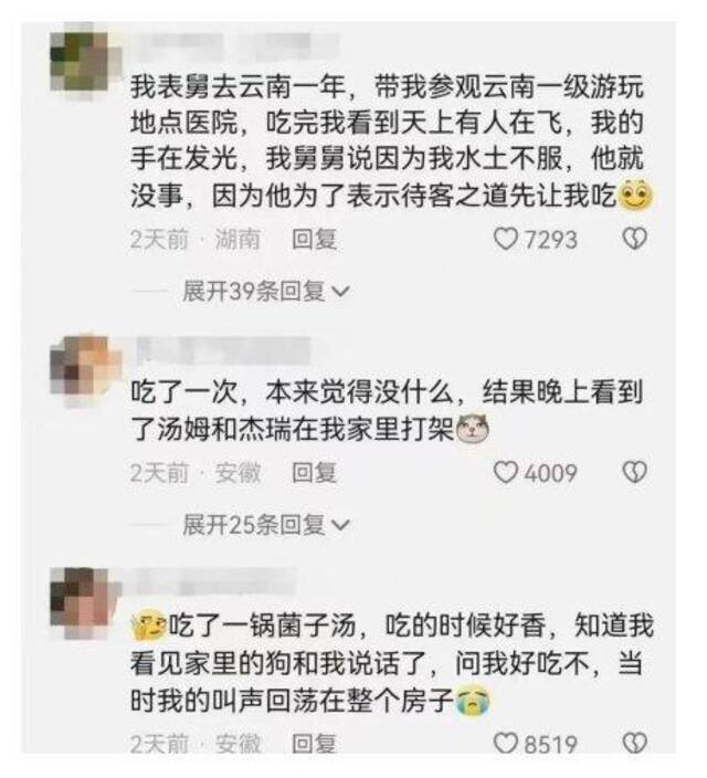 美国财长耶伦念念不忘的见手青，有什么魔力？