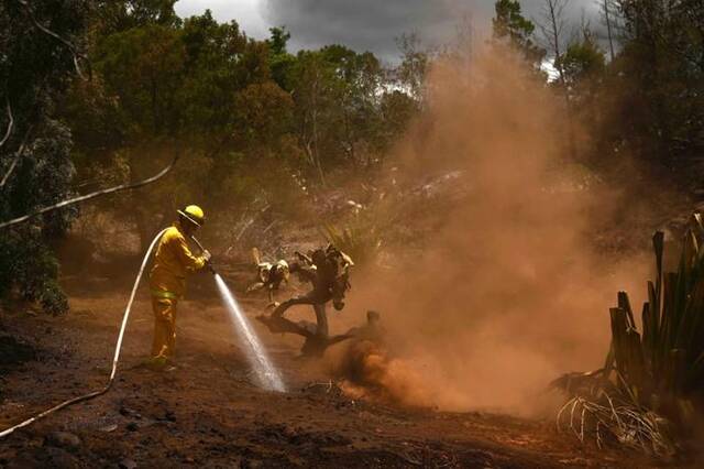 周日，毛伊县的一名消防员正在扑灭夏威夷库拉附近的一场火灾图自NBC