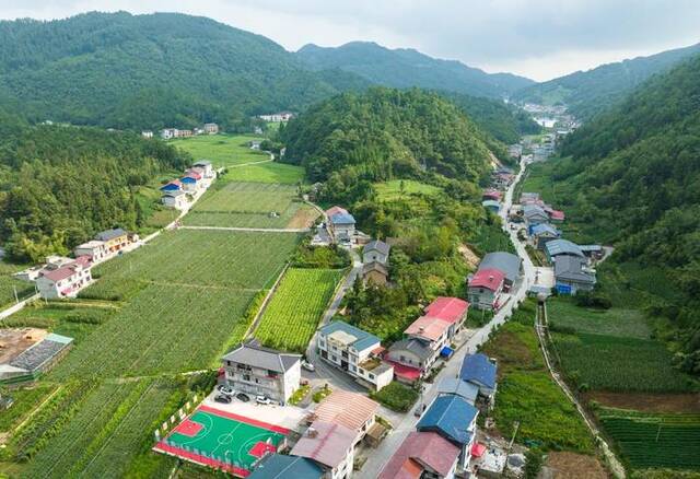 太和街村田园风光。新华社记者肖艺九摄