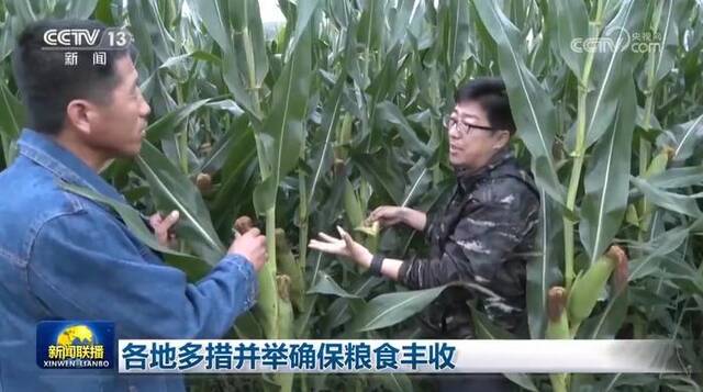 各地多措并举确保粮食丰收