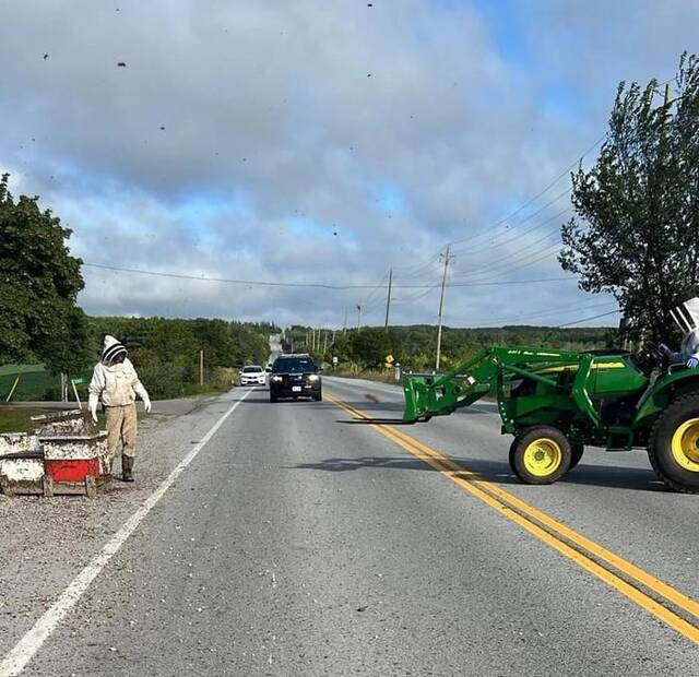 蜂箱半路从车上掉落，500万只蜜蜂袭扰加拿大，警方发出警告