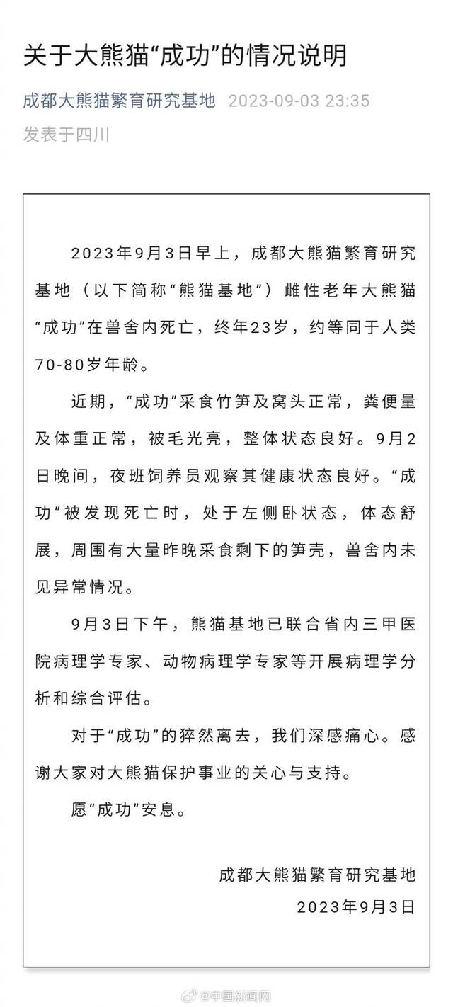 成都大熊猫基地老年大熊猫“成功”在兽舍内死亡