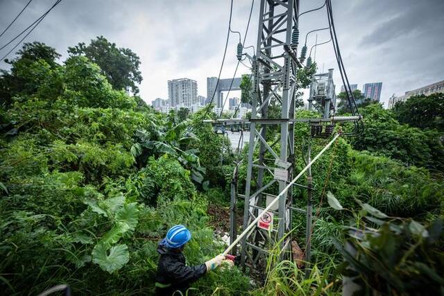 南方电网鏖战“苏拉” 广东受影响用户全面复电