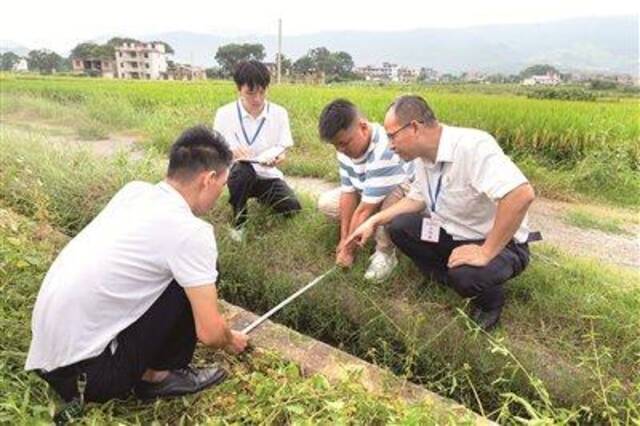 走进老区看振兴 | 拉网捉“虫”记