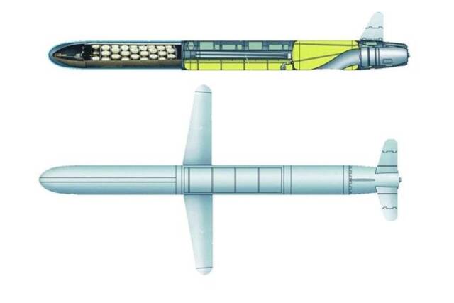 美媒：为打击俄纵深目标，乌克兰正研发射程可达2000公里巡航导弹