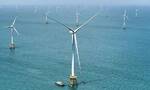 38.41万千瓦时！全球首台16兆瓦海上风机创单机日发电量新纪录