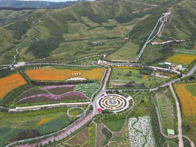 这是8月31日在西宁市大通回族土族自治县朔北藏族乡边麻沟村拍摄的花海。（无人机照片）新华社记者李宁摄