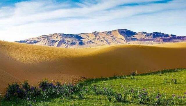 腾格里沙漠。图片来源：视觉中国