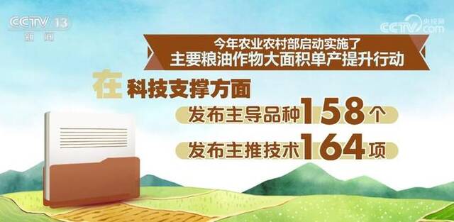 今年我国秋粮种植面积比去年稳中有增 大部地区秋粮长势良好丰收有望