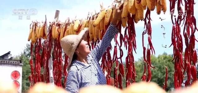 五彩斑斓绘出秀美秋收画卷 古村晒秋庆祝五谷丰登