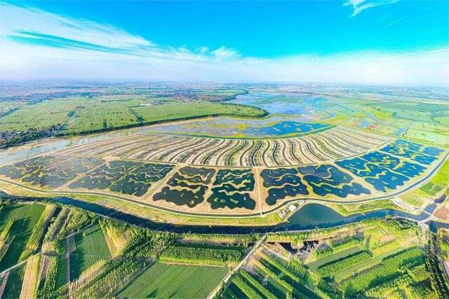 华北地区目前规模最大的功能性人工湿地——府河河口湿地