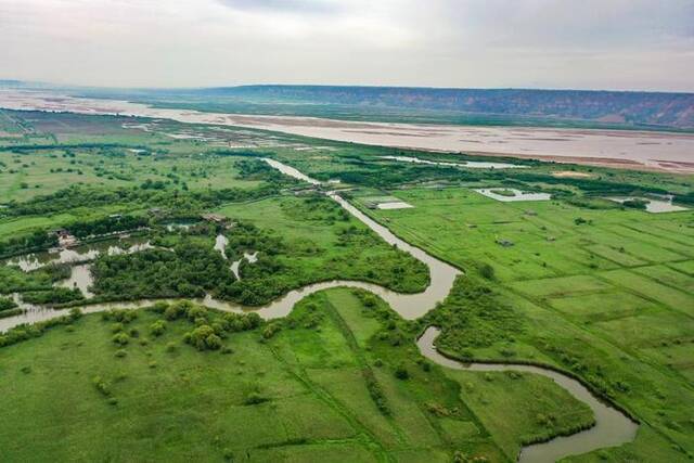 2023年6月2日，无人机拍摄的陕西省渭南市合阳县境内的黄河湿地。新华社发（赵哓罡摄）