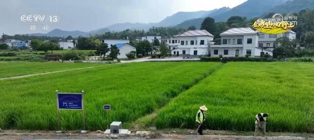 改造提升农业灌溉设施 “一片一策”助力江西各地晚稻增产