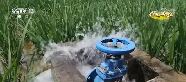 改造提升农业灌溉设施 “一片一策”助力江西各地晚稻增产