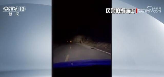 三头棕熊误入独库公路铁力买提隧道 交警一路跟随护送