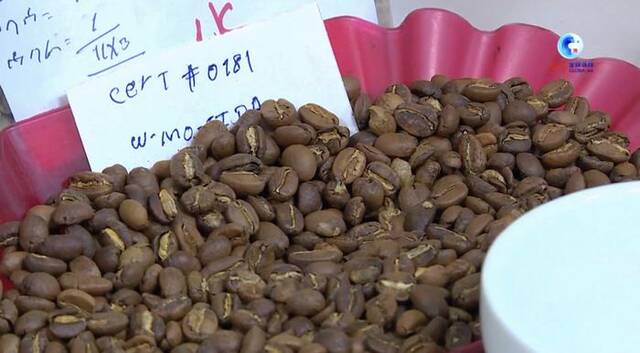 全球连线｜埃塞俄比亚咖啡出口商看好中国市场