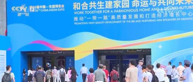 中国—东盟博览会公众开放日 观众“一站式”采买特色产品