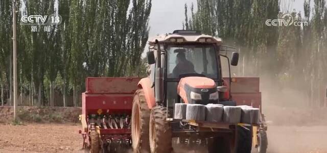新疆库车冬小麦抢抓农时开播 “科技+服务”确保播种高质量、高标准